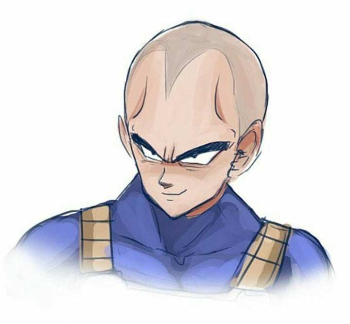 anime tee shirt — vegeta poster